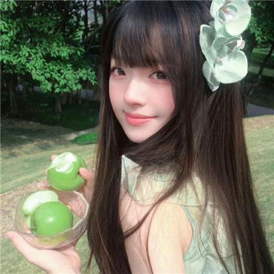 宝莲历险记